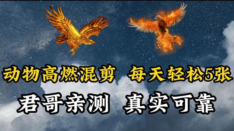 动物超燃混剪，每天轻松5张，剪辑简单大家爱看【揭秘】-送财鼠