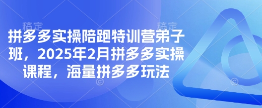 拼多多实操陪跑特训营弟子班，2025年2月拼多多实操课程，海量拼多多玩法-送财鼠