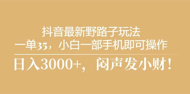 抖音最新野路子玩法，一单35，小白一部手机即可操作，，日入3000+，闷…-送财鼠