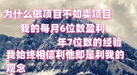 做项目不如卖项目，每月6位数盈利，年7位数经验-送财鼠