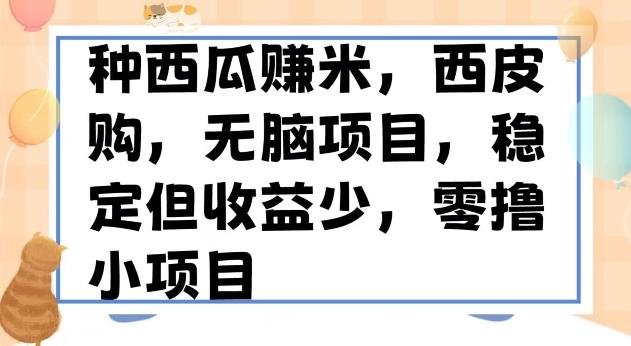 种西瓜赚米，西皮购稳定长久零撸小项目-送财鼠