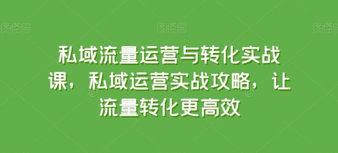 私域流量运营与转化实战课，私域运营实战攻略，让流量转化更高效-送财鼠