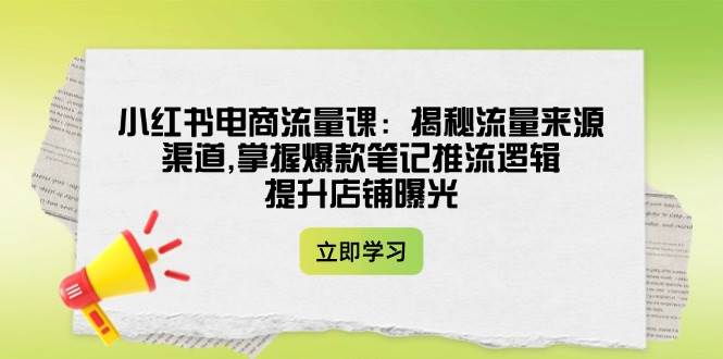 小红书电商流量课：揭秘流量来源渠道,掌握爆款笔记推流逻辑,提升店铺曝光-送财鼠