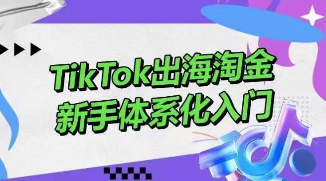 TikTok出海淘金，新手体系化入门，零基础快速入门，掌握短视频、直播带货等引流到变现的知识-送财鼠