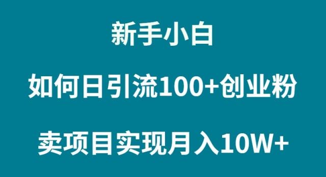 (9556期)新手小白如何通过卖项目实现月入10W+-送财鼠