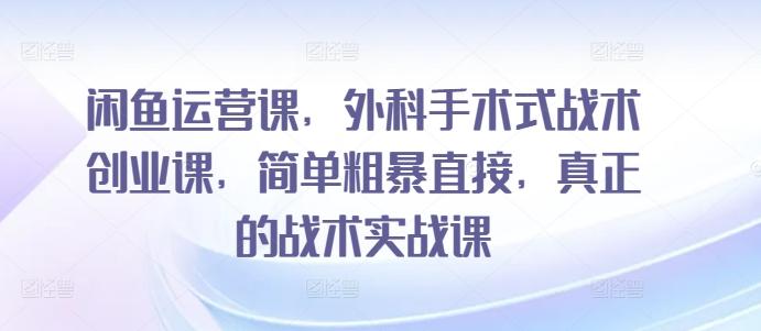 闲鱼运营课，外科手术式战术创业课，简单粗暴直接，真正的战术实战课-送财鼠
