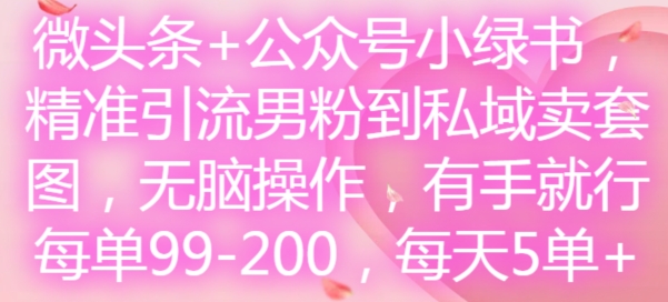 微头条+公众号小绿书，精准引流男粉到私域卖套图，无脑操作，有手就行，每单99-200，每天5单-送财鼠