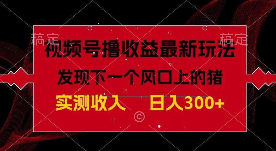视频号分成计划最新玩法，单条作品几分钟制作完成,日入300+，过年前最后的冲刺-送财鼠
