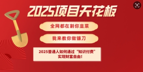 2025项目天花板普通人如何通过知识付费，实现财F自由【揭秘】-送财鼠